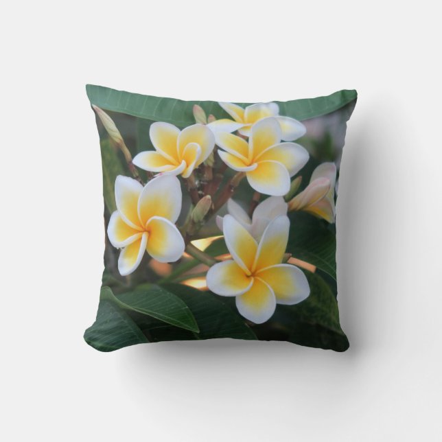 Blommor,japanska,asiatiska,kinesiska,mode,grattisk Kudde (Framsida)