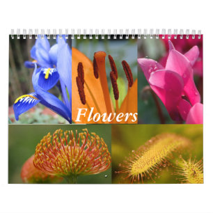 Blommor Kalender