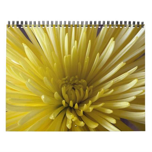 Blommor Kalender (Omslag)