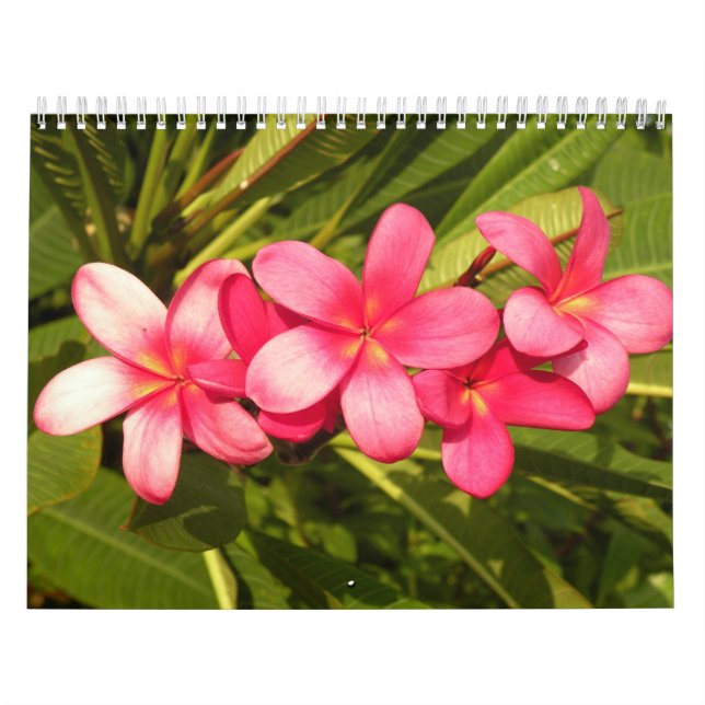Blommor Kalender (Omslag)