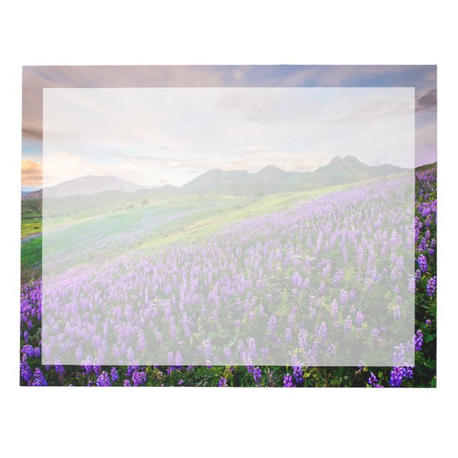 Blommor | Kalifornien Wildblommor Anteckningsblock (Framsida)
