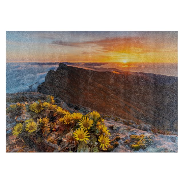 Blommor | Kanarieöarna, Spanien (Framsidan)