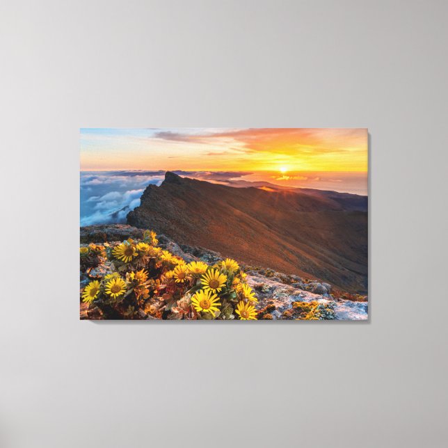 Blommor | Kanarieöarna, Spanien Canvastryck (Framsida)