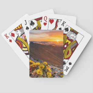 Blommor Kanarieöarna, Spanien Casinokort