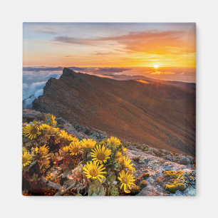 Blommor Kanarieöarna, Spanien Magnet