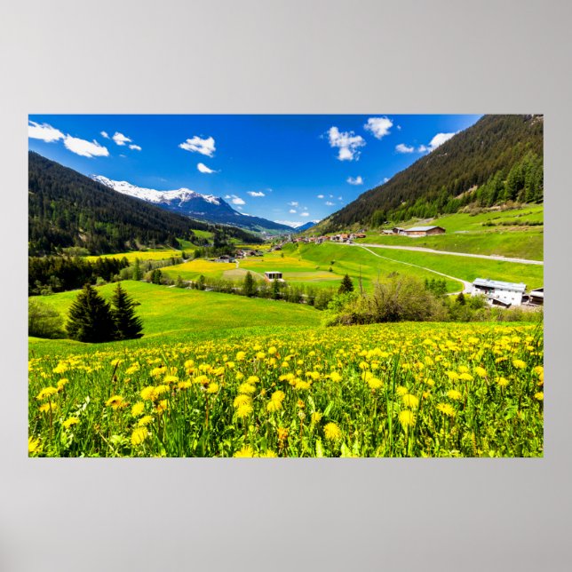 Blommor | Kantonen Grisons i Dandelion, Schweiz Poster (Framsidan)