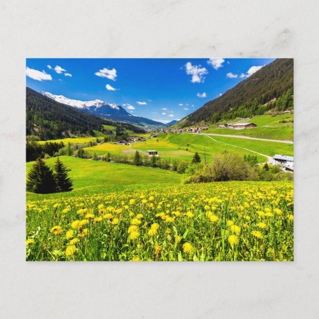 Blommor | Kantonen Grisons i Dandelion, Schweiz Vykort (Framsida)