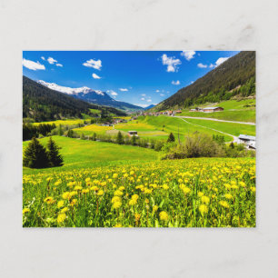 Blommor Kantonen Grisons i Dandelion, Schweiz Vykort