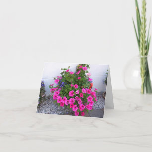 blommor kort
