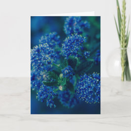 Blommor Kort