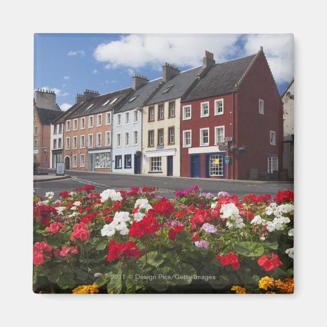 Blommor längs en gata i ett bostadsområde magnet (Framsidan)