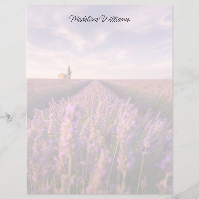 Blommor | Lavendel Södra Frankrike (Framsida)