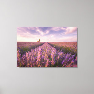 Blommor   Lavender Southern Frankrike Canvastryck