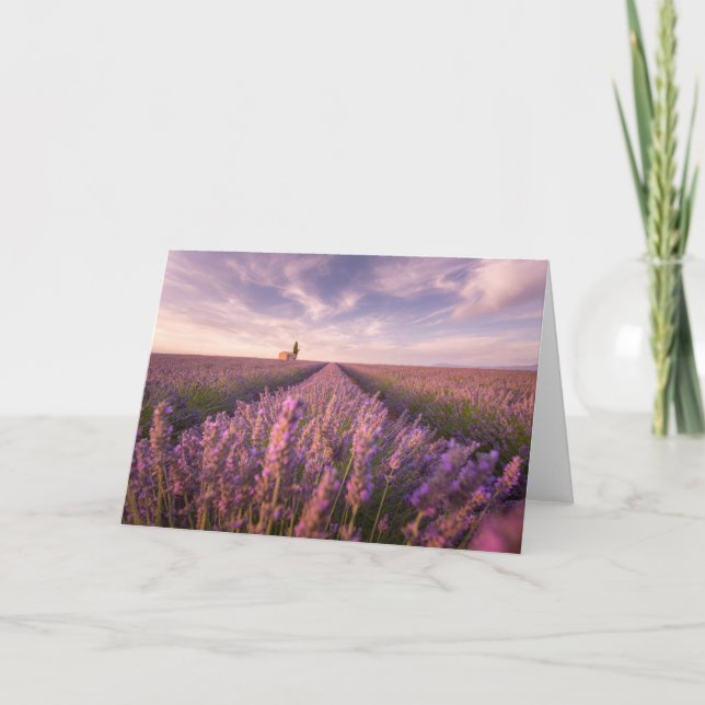 Blommor | Lavender Southern Frankrike Kort (Framsida)