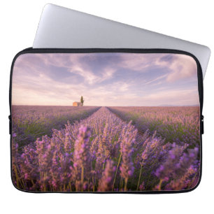 Blommor   Lavender Southern Frankrike Laptop Fodral
