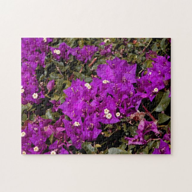 Blommor Lila Bougainvillea Blommigt Natature Pussel (Horisontell)
