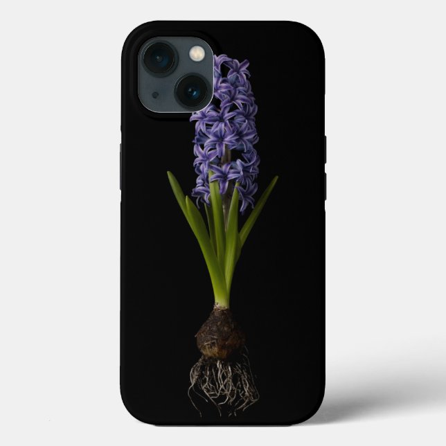 Blommor | Lila Hyacint Bulb (Baksida)