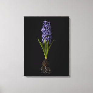 Blommor Lila Hyacint Bulb Canvastryck
