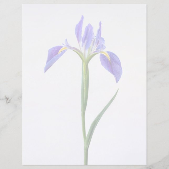 Blommor | Lila Iris Flower (Framsida)