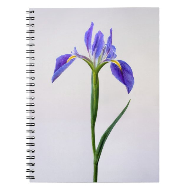 Blommor | Lila Iris Flower Anteckningsbok (Framsidan)