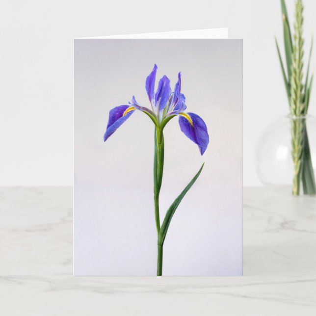 Blommor | Lila Iris Flower Kort (Framsida)