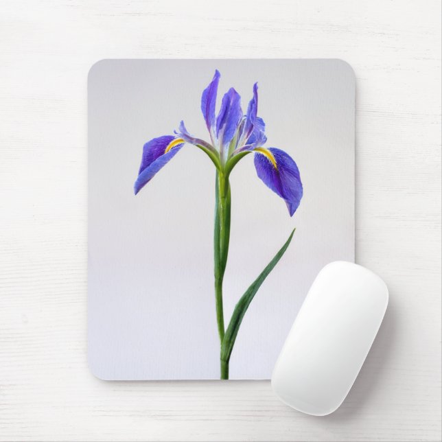 Blommor | Lila Iris Flower Musmatta (Med mus)
