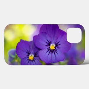 Blommor Lila Pansies