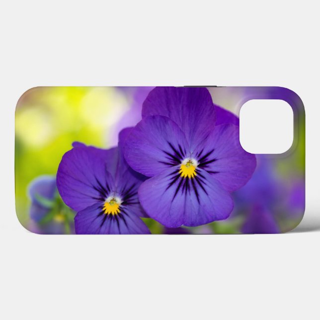 Blommor | Lila Pansies (Baksida (horisontell))