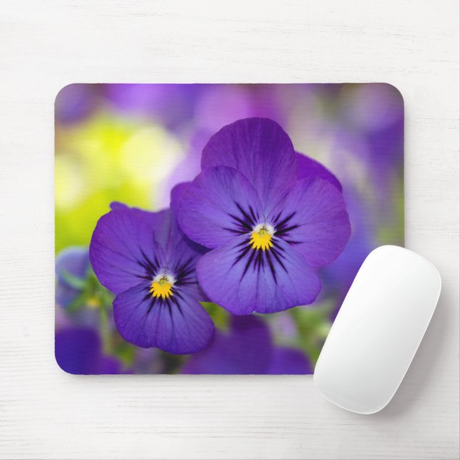 Blommor | Lila Pansies Musmatta (Med mus)