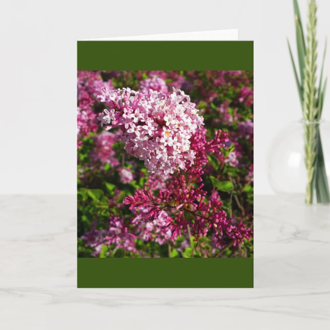 Blommor- Lilacs i Garden Card Kort (Framsida)