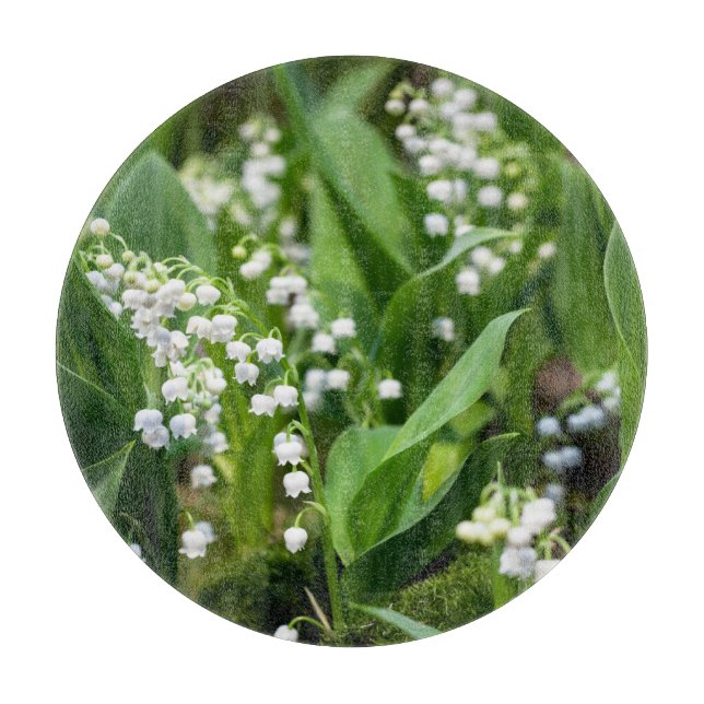 Blommor | Lily of the Valley Sverige (Framsidan)