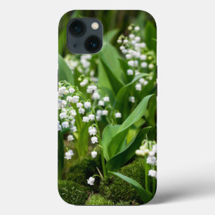 Blommor Lily of the Valley Sverige