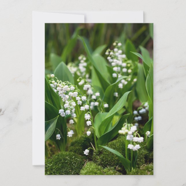 Blommor | Lily of the Valley Sverige Tack Kort (Framsida)