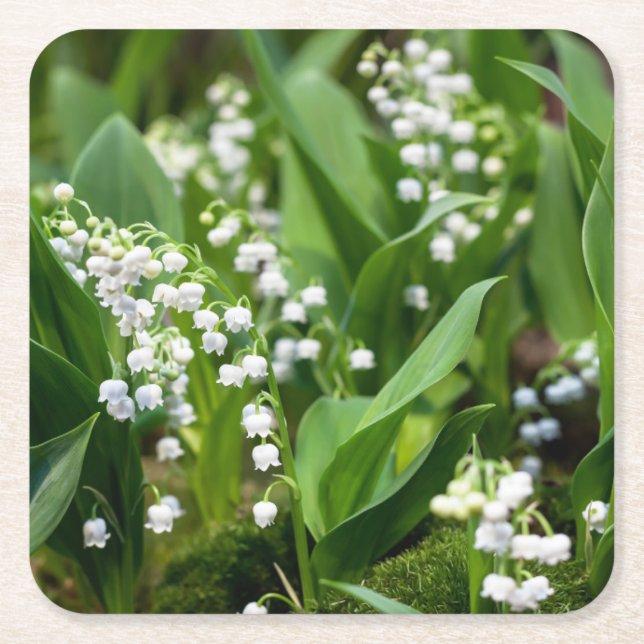 Blommor | Lily of the Valley Sverige Underlägg Papper Kvadrat (Framsidan)
