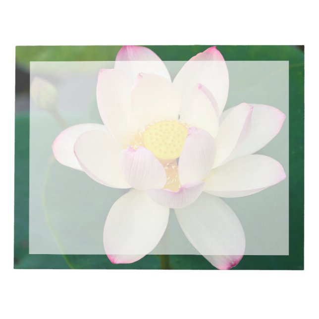 Blommor | Lotus Vatten Flower Anteckningsblock (Framsida)