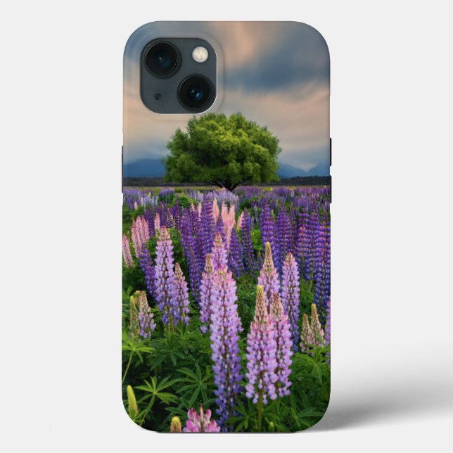 Blommor | Lupine Fält i Nya Zeeland (Baksida)