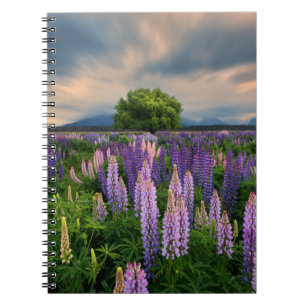 Blommor Lupine Fält i Nya Zeeland Anteckningsbok