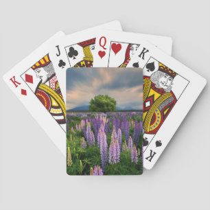 Blommor Lupine Fält i Nya Zeeland Casinokort