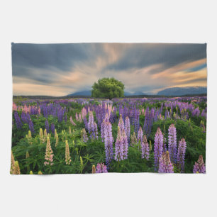 Blommor Lupine Fält i Nya Zeeland Kökshandduk