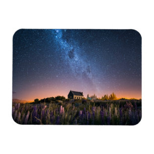 Blommor Lupines Blooming Sjö Tekapo Nya Zeeland Magnet