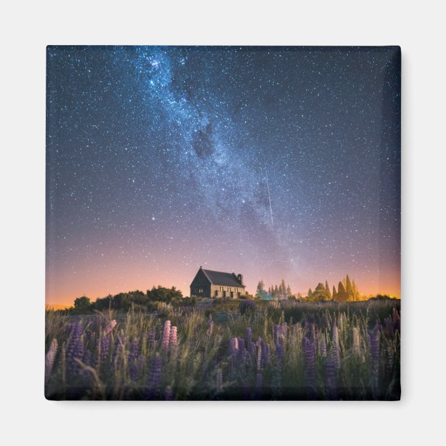 Blommor | Lupines Blooming Sjö Tekapo Nya Zeeland Magnet (Framsidan)