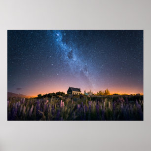 Blommor Lupines Blooming Sjö Tekapo Nya Zeeland Poster