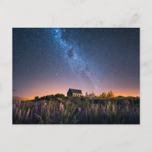 Blommor Lupines Blooming Sjö Tekapo Nya Zeeland Vykort