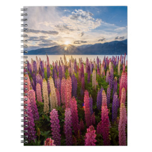Blommor Lupines Nya Zeeland Anteckningsbok