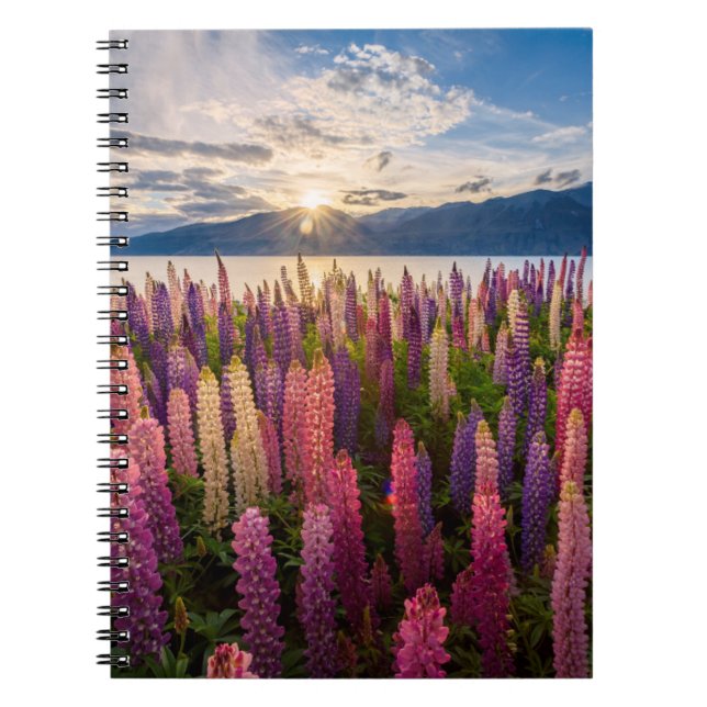 Blommor | Lupines Nya Zeeland Anteckningsbok (Framsidan)