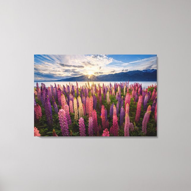 Blommor | Lupines Nya Zeeland Canvastryck (Framsida)