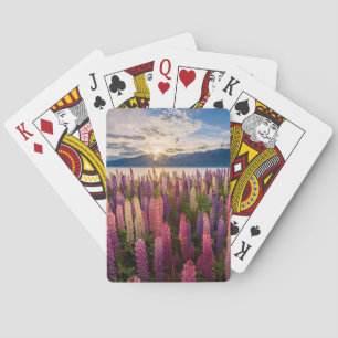 Blommor Lupines Nya Zeeland Casinokort
