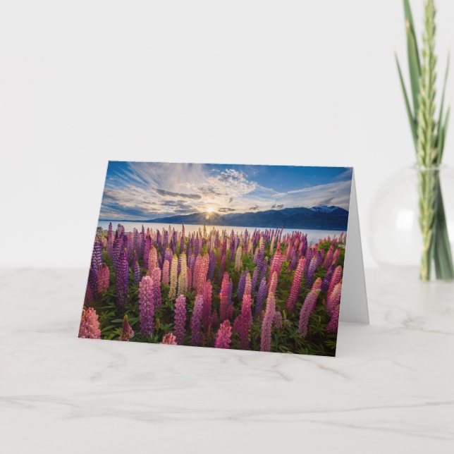 Blommor | Lupines Nya Zeeland Kort (Framsida)