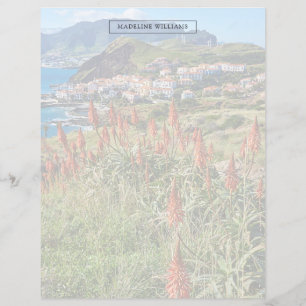Blommor Madeira Island Portugal