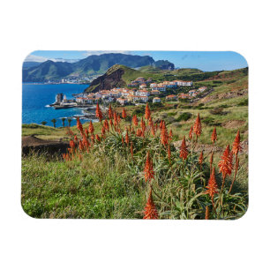 Blommor   Madeira Island Portugal Magnet